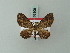  (Collix brevipalpis - BC ZSM Lep 63306)  @14 [ ] CreativeCommons - Attribution Non-Commercial Share-Alike (2012) Axel Hausmann/Bavarian State Collection of Zoology (ZSM) SNSB, Zoologische Staatssammlung Muenchen