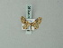  ( - BC ZSM Lep 63320)  @12 [ ] CreativeCommons - Attribution Non-Commercial Share-Alike (2012) Axel Hausmann/Bavarian State Collection of Zoology (ZSM) SNSB, Zoologische Staatssammlung Muenchen