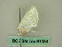  ( - BC ZSM Lep 61054)  @12 [ ] CreativeCommons - Attribution Non-Commercial Share-Alike (2012) Axel Hausmann/Bavarian State Collection of Zoology (ZSM) SNSB, Zoologische Staatssammlung Muenchen