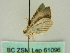  (Poecilasthena AH01Au - BC ZSM Lep 61096)  @12 [ ] CreativeCommons - Attribution Non-Commercial Share-Alike (2012) Axel Hausmann/Bavarian State Collection of Zoology (ZSM) SNSB, Zoologische Staatssammlung Muenchen