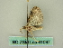  ( - BC ZSM Lep 61097)  @12 [ ] CreativeCommons - Attribution Non-Commercial Share-Alike (2012) Axel Hausmann/Bavarian State Collection of Zoology (ZSM) SNSB, Zoologische Staatssammlung Muenchen