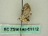  ( - BC ZSM Lep 61112)  @12 [ ] CreativeCommons - Attribution Non-Commercial Share-Alike (2012) Axel Hausmann/Bavarian State Collection of Zoology (ZSM) SNSB, Zoologische Staatssammlung Muenchen