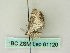  ( - BC ZSM Lep 61120)  @12 [ ] CreativeCommons - Attribution Non-Commercial Share-Alike (2012) Axel Hausmann/Bavarian State Collection of Zoology (ZSM) SNSB, Zoologische Staatssammlung Muenchen