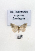  ( - GF Lep 0008)  @13 [ ] Copyright (2012) Axel Hausmann/Bavarian State Collection of Zoology (ZSM) SNSB, Zoologische Staatssammlung Muenchen