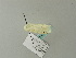  ( - BC ZSM Lep 63105)  @12 [ ] CreativeCommons - Attribution Non-Commercial Share-Alike (2012) Axel Hausmann/Bavarian State Collection of Zoology (ZSM) SNSB, Zoologische Staatssammlung Muenchen
