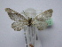  ( - BC ZSM SS Lep 0012)  @12 [ ] CreativeCommons - Attribution Non-Commercial Share-Alike (2012) Axel Hausmann/Bavarian State Collection of Zoology (ZSM) SNSB, Zoologische Staatssammlung Muenchen