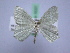  ( - BC ZSM SS Lep 0037)  @13 [ ] CreativeCommons - Attribution Non-Commercial Share-Alike (2012) Axel Hausmann/Bavarian State Collection of Zoology (ZSM) SNSB, Zoologische Staatssammlung Muenchen