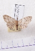  ( - BC AxYi 0150)  @12 [ ] Copyright (2013) Y.Zou IZCAS