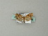  ( - BC ZSM Lep 67219)  @13 [ ] CreativeCommons - Attribution Non-Commercial Share-Alike (2013) Axel Hausmann/Bavarian State Collection of Zoology (ZSM) SNSB, Zoologische Staatssammlung Muenchen