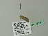  ( - BC ZSM Lep 70167)  @12 [ ] CreativeCommons - Attribution Non-Commercial Share-Alike (2013) Axel Hausmann/Bavarian State Collection of Zoology (ZSM) SNSB, Zoologische Staatssammlung Muenchen
