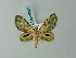  (Chloroclystis malachitis - BC ZSM Lep 68670)  @13 [ ] CreativeCommons - Attribution Non-Commercial Share-Alike (2014) Axel Hausmann/Bavarian State Collection of Zoology (ZSM) SNSB, Zoologische Staatssammlung Muenchen