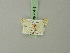  ( - BC ZSM Lep 70416)  @11 [ ] CreativeCommons - Attribution Non-Commercial Share-Alike (2014) Axel Hausmann/Bavarian State Collection of Zoology (ZSM) SNSB, Zoologische Staatssammlung Muenchen