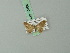 ( - BC ZSM Lep 70464)  @12 [ ] CreativeCommons - Attribution Non-Commercial Share-Alike (2014) Axel Hausmann/Bavarian State Collection of Zoology (ZSM) SNSB, Zoologische Staatssammlung Muenchen