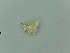  ( - BC ZSM Lep 81461)  @12 [ ] CreativeCommons - Attribution Non-Commercial Share-Alike (2014) Axel Hausmann/Bavarian State Collection of Zoology (ZSM) SNSB, Zoologische Staatssammlung Muenchen