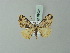  ( - BC ZSM Lep 69051)  @14 [ ] CreativeCommons - Attribution Non-Commercial Share-Alike (2015) Axel Hausmann/Bavarian State Collection of Zoology (ZSM) SNSB, Zoologische Staatssammlung Muenchen