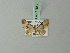  (Eupithecia melanalopha - BC ZSM Lep 71842)  @11 [ ] CreativeCommons - Attribution Non-Commercial Share-Alike (2015) Axel Hausmann/Bavarian State Collection of Zoology (ZSM) SNSB, Zoologische Staatssammlung Muenchen