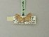  (Eupithecia mejala - BC ZSM Lep 71935)  @11 [ ] CreativeCommons - Attribution Non-Commercial Share-Alike (2015) Axel Hausmann/Bavarian State Collection of Zoology (ZSM) SNSB, Zoologische Staatssammlung Muenchen