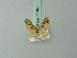  (Chloroclystis semiscripta - BC ZSM Lep 71948)  @11 [ ] CreativeCommons - Attribution Non-Commercial Share-Alike (2015) Axel Hausmann/Bavarian State Collection of Zoology (ZSM) SNSB, Zoologische Staatssammlung Muenchen