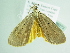  ( - BC ZSM Lep 86273)  @13 [ ] CreativeCommons - Attribution Non-Commercial Share-Alike (2015) Axel Hausmann/Bavarian State Collection of Zoology (ZSM) SNSB, Zoologische Staatssammlung Muenchen