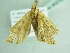  ( - BC ZSM Lep 86275)  @13 [ ] CreativeCommons - Attribution Non-Commercial Share-Alike (2015) Axel Hausmann/Bavarian State Collection of Zoology (ZSM) SNSB, Zoologische Staatssammlung Muenchen