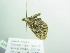  ( - BC ZSM Lep 88419)  @13 [ ] CreativeCommons - Attribution Non-Commercial Share-Alike (2015) Axel Hausmann/Bavarian State Collection of Zoology (ZSM) SNSB, Zoologische Staatssammlung Muenchen