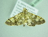  (Dichocrocis phalaromima - BC ZSM Lep 88584)  @13 [ ] CreativeCommons - Attribution Non-Commercial Share-Alike (2015) Axel Hausmann/Bavarian State Collection of Zoology (ZSM) SNSB, Zoologische Staatssammlung Muenchen