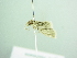  ( - BC ZSM Lep 88598)  @13 [ ] CreativeCommons - Attribution Non-Commercial Share-Alike (2015) Axel Hausmann/Bavarian State Collection of Zoology (ZSM) SNSB, Zoologische Staatssammlung Muenchen