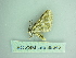  ( - BC ZSM Lep 88646)  @12 [ ] CreativeCommons - Attribution Non-Commercial Share-Alike (2015) Axel Hausmann/Bavarian State Collection of Zoology (ZSM) SNSB, Zoologische Staatssammlung Muenchen