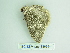  ( - BC ZSM Lep 88699)  @12 [ ] CreativeCommons - Attribution Non-Commercial Share-Alike (2015) Axel Hausmann/Bavarian State Collection of Zoology (ZSM) SNSB, Zoologische Staatssammlung Muenchen
