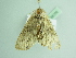  ( - BC ZSM Lep 88756)  @13 [ ] CreativeCommons - Attribution Non-Commercial Share-Alike (2015) Axel Hausmann/Bavarian State Collection of Zoology (ZSM) SNSB, Zoologische Staatssammlung Muenchen