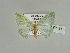  ( - BC ZSM Lep 89594)  @11 [ ] CreativeCommons - Attribution Non-Commercial Share-Alike (2015) Axel Hausmann/Bavarian State Collection of Zoology (ZSM) SNSB, Zoologische Staatssammlung Muenchen