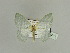  ( - BC ZSM Lep 89653)  @11 [ ] CreativeCommons - Attribution Non-Commercial Share-Alike (2015) Axel Hausmann/Bavarian State Collection of Zoology (ZSM) SNSB, Zoologische Staatssammlung Muenchen
