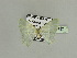  ( - BC ZSM Lep 89657)  @13 [ ] CreativeCommons - Attribution Non-Commercial Share-Alike (2015) Axel Hausmann/Bavarian State Collection of Zoology (ZSM) SNSB, Zoologische Staatssammlung Muenchen