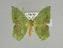  ( - BC ZSM Lep 89787)  @14 [ ] CreativeCommons - Attribution Non-Commercial Share-Alike (2015) Axel Hausmann/Bavarian State Collection of Zoology (ZSM) SNSB, Zoologische Staatssammlung Muenchen
