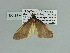  ( - BC ZSM Lep 89820)  @11 [ ] CreativeCommons - Attribution Non-Commercial Share-Alike (2015) Axel Hausmann/Bavarian State Collection of Zoology (ZSM) SNSB, Zoologische Staatssammlung Muenchen