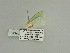  ( - BC ZSM Lep 89835)  @12 [ ] CreativeCommons - Attribution Non-Commercial Share-Alike (2015) Axel Hausmann/Bavarian State Collection of Zoology (ZSM) SNSB, Zoologische Staatssammlung Muenchen