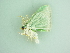  ( - BC ZSM Lep 91258)  @12 [ ] CreativeCommons - Attribution Non-Commercial Share-Alike (2016) SNSB, Staatliche Naturwissenschaftliche Sammlungen Bayerns ZSM (SNSB, Zoologische Staatssammlung Muenchen)