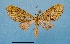  ( - BC ZSM Lep 92394)  @11 [ ] CreativeCommons - Attribution Non-Commercial Share-Alike (2016) SNSB, Staatliche Naturwissenschaftliche Sammlungen Bayerns ZSM (SNSB, Zoologische Staatssammlung Muenchen)