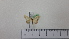  ( - BC ZSM Lep 92752)  @12 [ ] CreativeCommons - Attribution Non-Commercial Share-Alike (2016) SNSB, Staatliche Naturwissenschaftliche Sammlungen Bayerns ZSM (SNSB, Zoologische Staatssammlung Muenchen)