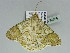  ( - BC ZSM Lep 93306)  @13 [ ] CreativeCommons - Attribution Non-Commercial Share-Alike (2016) SNSB, Staatliche Naturwissenschaftliche Sammlungen Bayerns ZSM (SNSB, Zoologische Staatssammlung Muenchen)