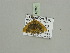  ( - BC ZSM Lep 93363)  @12 [ ] CreativeCommons - Attribution Non-Commercial Share-Alike (2016) SNSB, Staatliche Naturwissenschaftliche Sammlungen Bayerns ZSM (SNSB, Zoologische Staatssammlung Muenchen)