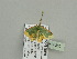  ( - BC ZSM Lep 93386)  @12 [ ] CreativeCommons - Attribution Non-Commercial Share-Alike (2016) SNSB, Staatliche Naturwissenschaftliche Sammlungen Bayerns ZSM (SNSB, Zoologische Staatssammlung Muenchen)