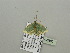  ( - BC ZSM Lep 93390)  @12 [ ] CreativeCommons - Attribution Non-Commercial Share-Alike (2016) SNSB, Staatliche Naturwissenschaftliche Sammlungen Bayerns ZSM (SNSB, Zoologische Staatssammlung Muenchen)