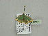  ( - BC ZSM Lep 93391)  @12 [ ] CreativeCommons - Attribution Non-Commercial Share-Alike (2016) SNSB, Staatliche Naturwissenschaftliche Sammlungen Bayerns ZSM (SNSB, Zoologische Staatssammlung Muenchen)