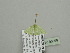  ( - BC ZSM Lep 93399)  @12 [ ] CreativeCommons - Attribution Non-Commercial Share-Alike (2016) SNSB, Staatliche Naturwissenschaftliche Sammlungen Bayerns ZSM (SNSB, Zoologische Staatssammlung Muenchen)