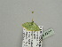  ( - BC ZSM Lep 93401)  @12 [ ] CreativeCommons - Attribution Non-Commercial Share-Alike (2016) SNSB, Staatliche Naturwissenschaftliche Sammlungen Bayerns ZSM (SNSB, Zoologische Staatssammlung Muenchen)