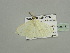  ( - BC ZSM Lep 93448)  @12 [ ] CreativeCommons - Attribution Non-Commercial Share-Alike (2016) SNSB, Staatliche Naturwissenschaftliche Sammlungen Bayerns ZSM (SNSB, Zoologische Staatssammlung Muenchen)