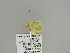  ( - BC ZSM Lep 91601)  @12 [ ] CreativeCommons - Attribution Non-Commercial Share-Alike (2016) SNSB, Staatliche Naturwissenschaftliche Sammlungen Bayerns ZSM (SNSB, Zoologische Staatssammlung Muenchen)