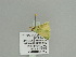  ( - BC ZSM Lep 91603)  @11 [ ] CreativeCommons - Attribution Non-Commercial Share-Alike (2016) SNSB, Staatliche Naturwissenschaftliche Sammlungen Bayerns ZSM (SNSB, Zoologische Staatssammlung Muenchen)