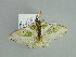  ( - BC ZSM Lep 91608)  @13 [ ] CreativeCommons - Attribution Non-Commercial Share-Alike (2016) SNSB, Staatliche Naturwissenschaftliche Sammlungen Bayerns ZSM (SNSB, Zoologische Staatssammlung Muenchen)